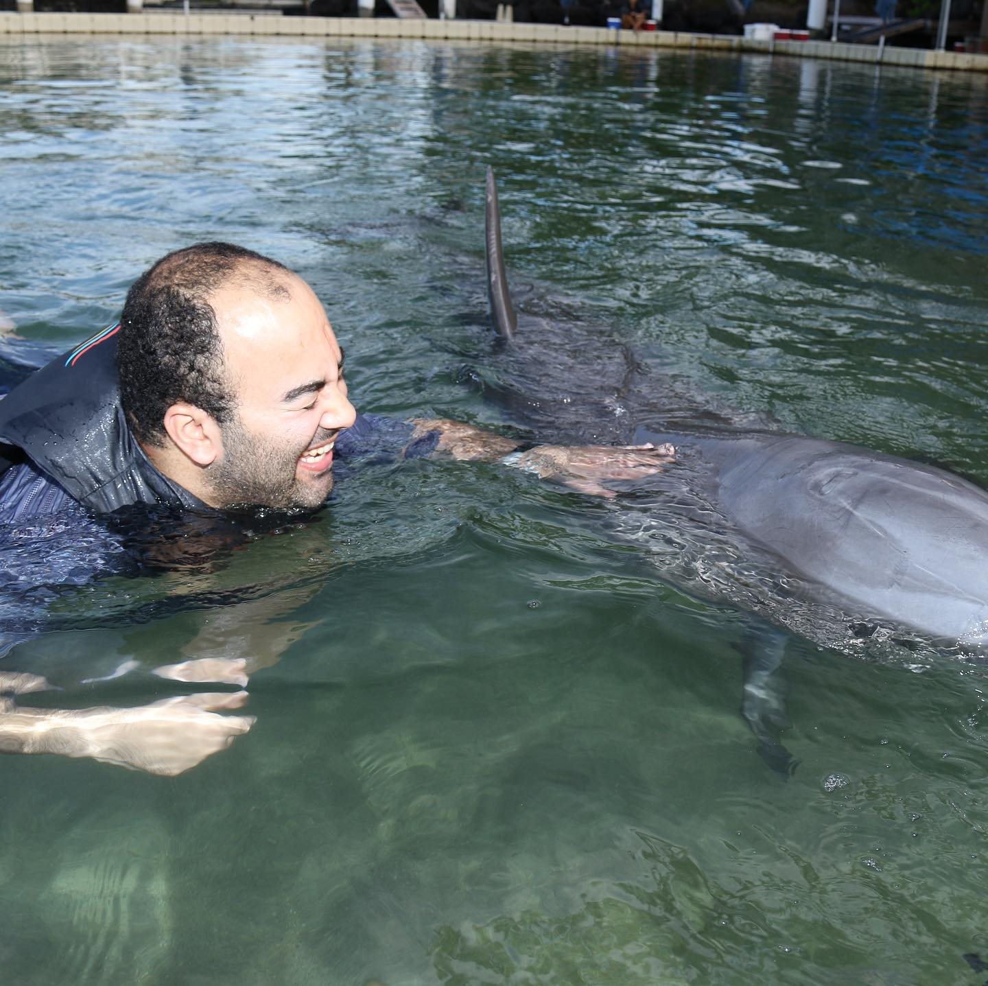 Noah in the water touching a dolphin during an accessible marine encounter